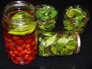 Basilic et tomates en conserve