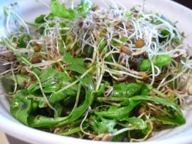 salade de graines germées au balsamique