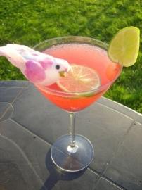 cocktail raspberry