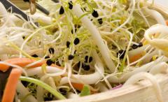 salade printaniere de soja