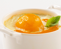 oeufs en cocotte au homard