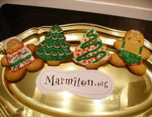 Gingerbread Christmas Cookies (biscuits en pain d épice de Noël)