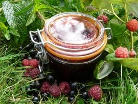 confiture cassis-framboise  la menthe