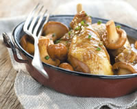 fricasse de poulet fermier des landes aux girolles