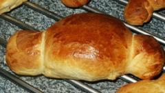 la coquille de nol du nord de la france