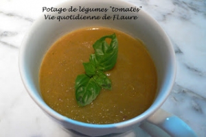   Potage de légumes tomatés