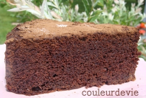 Gâteau fondant chocolat café « Couleurdevie