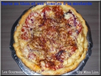 tarte au thon et aux tomates  la moutarde les gourmandises de mina lisa
