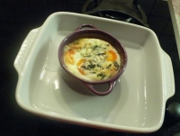 recette cocotte N20