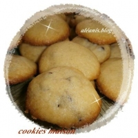 recette de ppites N15
