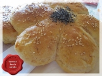 recette de levure fraiche N17