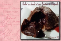 recette de coulant N14