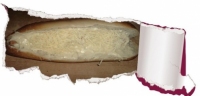 recette de baguette N20
