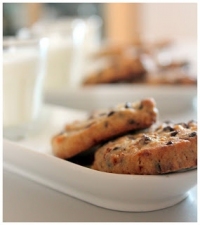 recette de ppites N13