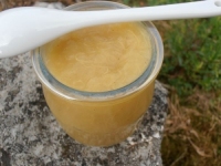 Compote pomme rhubarbe au thermomix