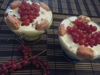 recette de groseilles N20