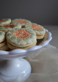 recette lgres N20