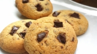 recette de ppites N11