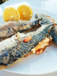 recette de filets N11