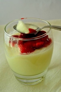recette de agar agar N17