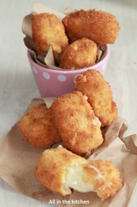 recette de croquettes N20