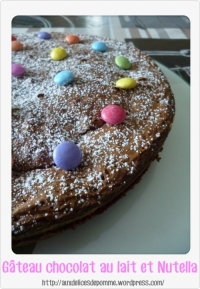 Gteau chocolat au lait et Nutella