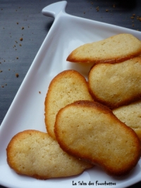 LANGUES DE CHAT