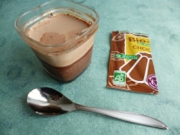 yaourts flans maison diététiques au bio flan chocolat et à la stévia (sans sucre ni lait en poudre)