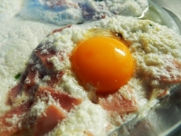 recette de plats N14