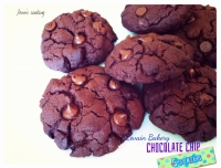 recette de ppites N6