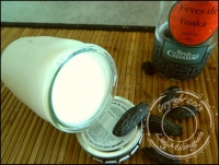 recette de feve tonka N9