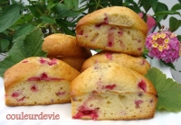 recette de groseilles N10