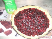 recette de fruits N18