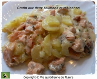 Gratin aux deux saumons et reblochon Vie quotidienne de FLaure