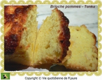 recette de levure fraiche N9