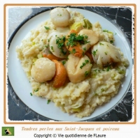 recette de saint jacques N17