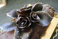 recette de buches N15