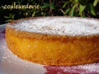 recette de moelleux N16