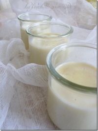 recette de lait d'amande N°15