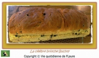recette de pepites de chocolat N16