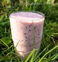 recette de myrtille N20