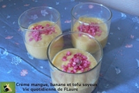 Crème Mangue Banane Et Tofu Soyeux Vie quotidienne de FLaure