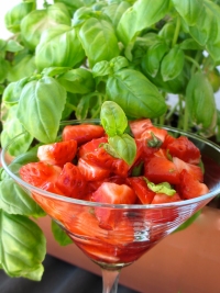 recette de tartare N6