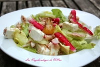 recette de oignon nouveau N5