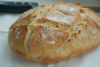 recette cocotte N4