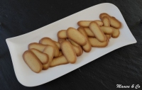 Langues de chat