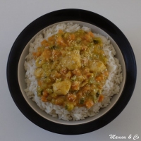 recette indiennes N9