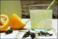 recette de limonade N1