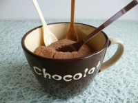 mugcake végan cacao coco au psyllium avec Sukrin et yaourt de soja (diététique sans sucre ni beurre ni oeuf et riche en fibres)