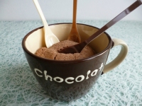 mugcake vgan cacao coco au psyllium avec Sukrin et yaourt de soja (dittique sans sucre ni beurre ni oeuf et riche en fibres)